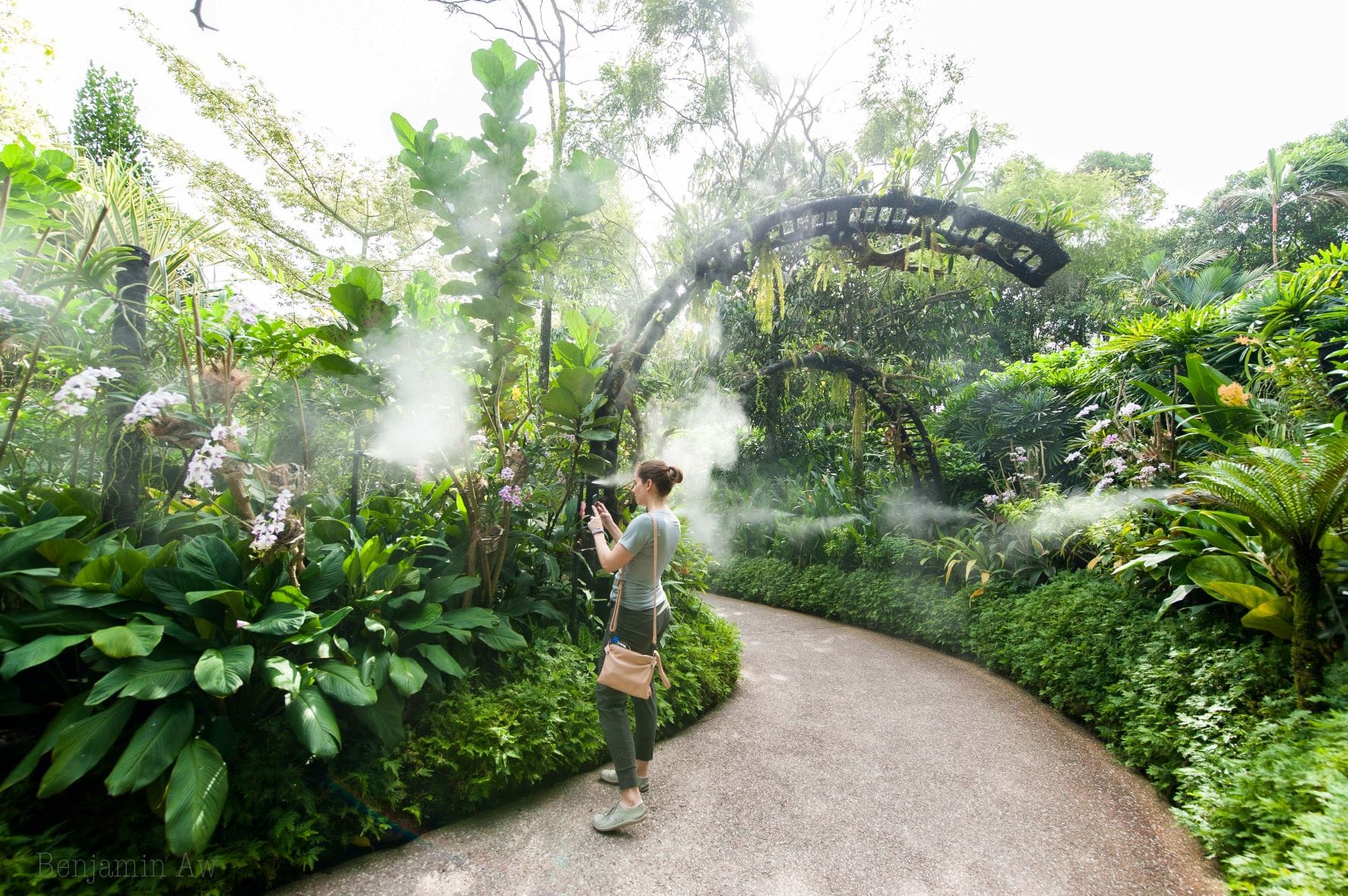 National Orchid Garden